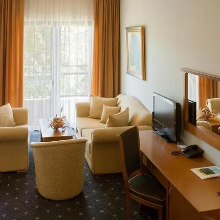 Panorama Hotel 4*